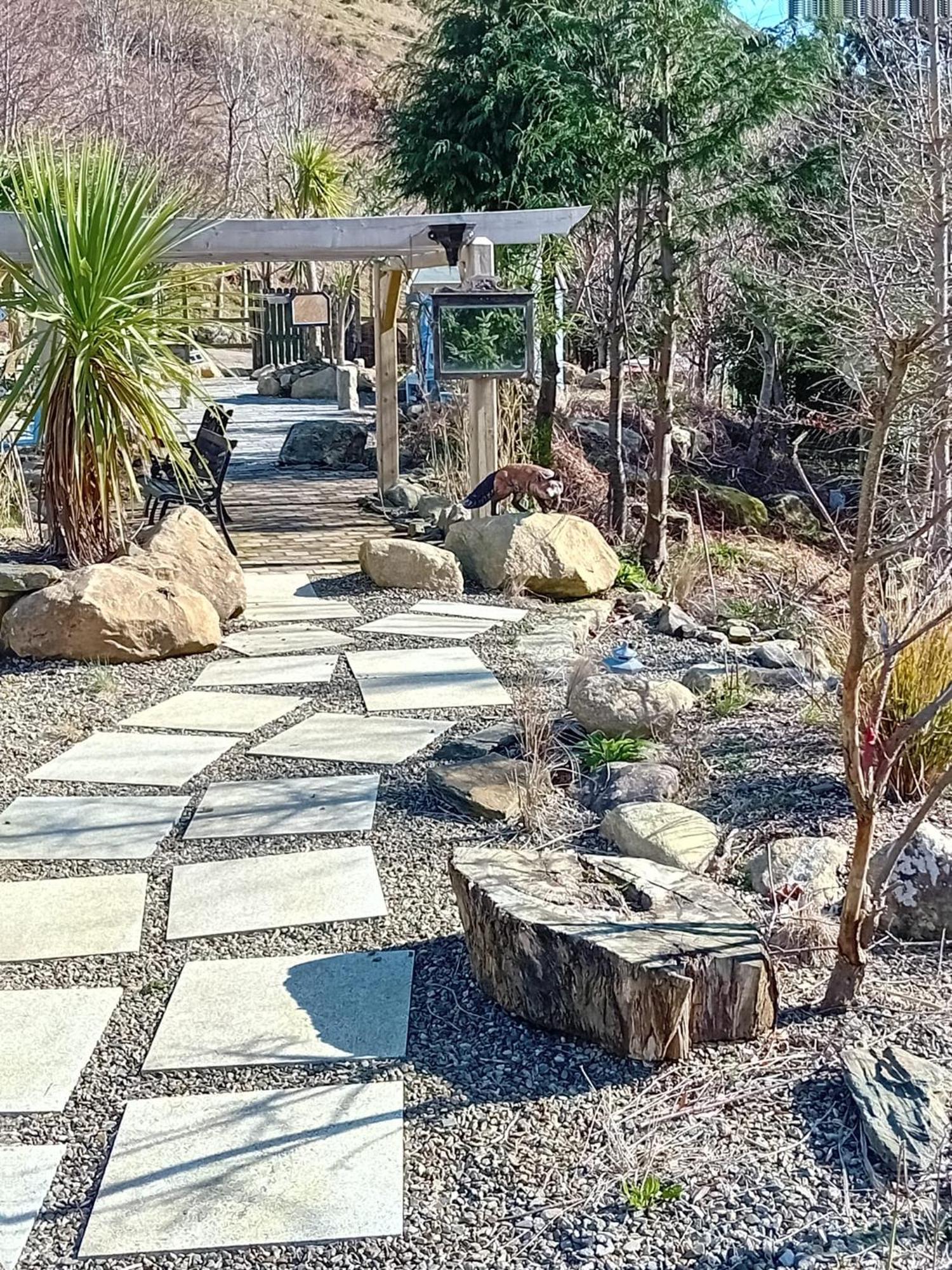 לארה Clarisses Cottage מראה חיצוני תמונה
